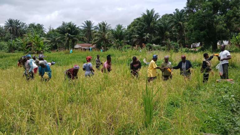 Our Land. Our Climate. Our Future